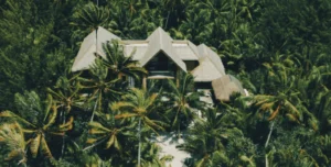 Thebrando - 195.7.4.97