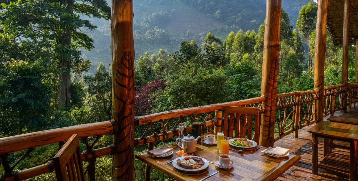 Mahogany - 195.7.4.97