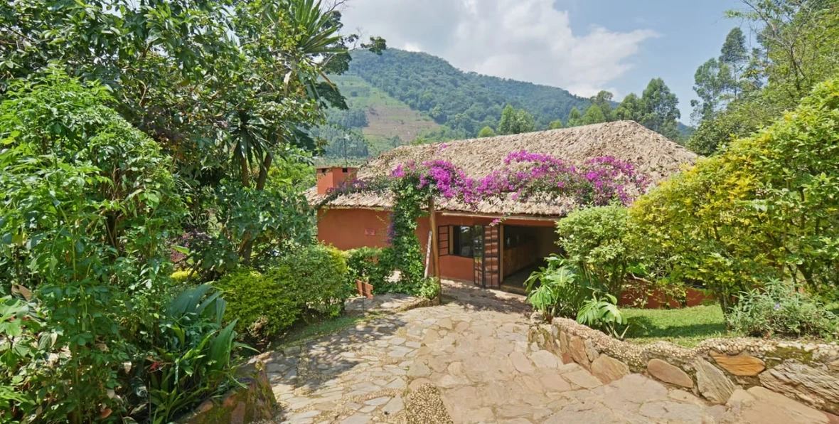 Mahogany - 195.7.4.97