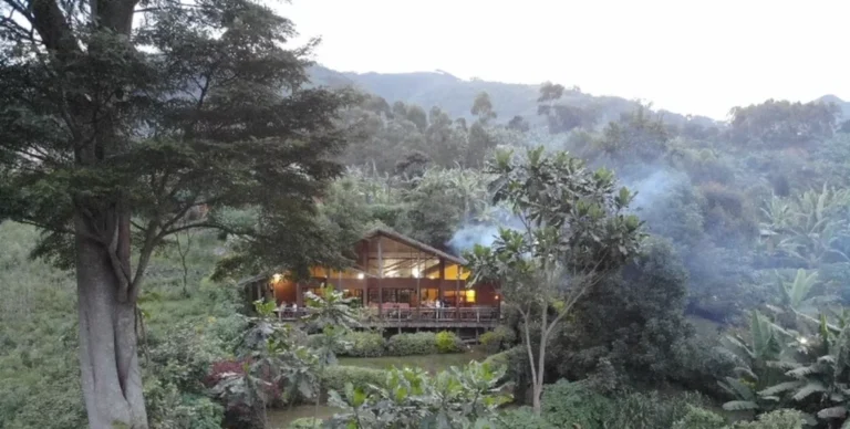 Mahogany Springs Lodge