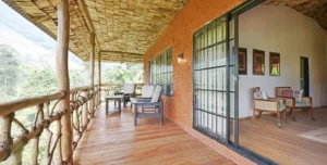 Mahogany - 195.7.4.97