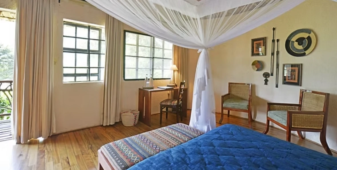 Mahogany - 195.7.4.97