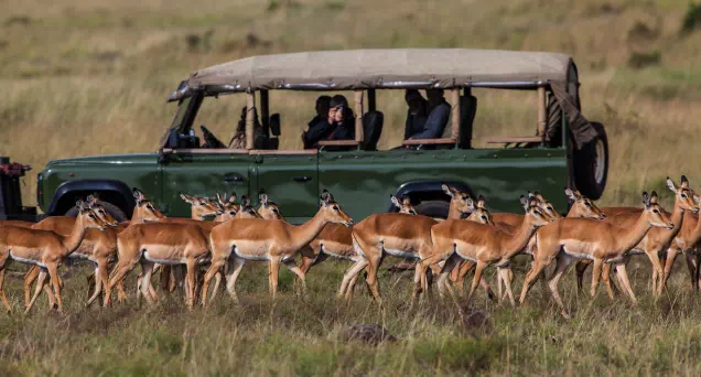 Galería De Imágenes Viaje A Tanzania Y Zanzíbar Safaris - 195.7.4.97 - Viaje a Tanzania