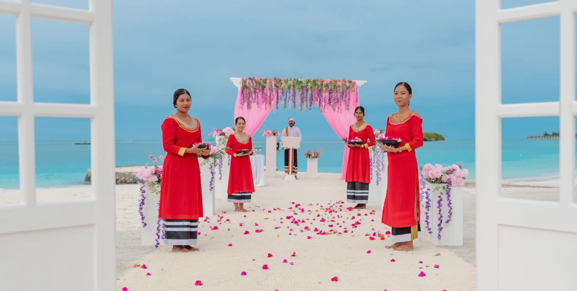 Nooe Servicios - 195.7.4.97