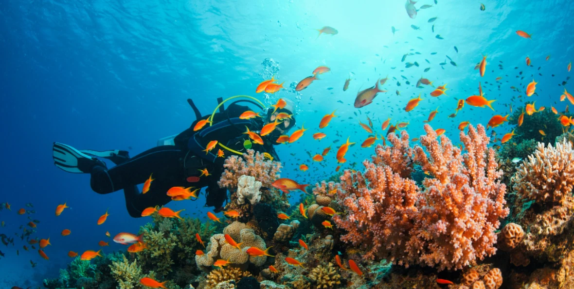 Nooe Servicios - 195.7.4.97