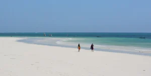 Nwptumepalmboutique - 195.7.4.97