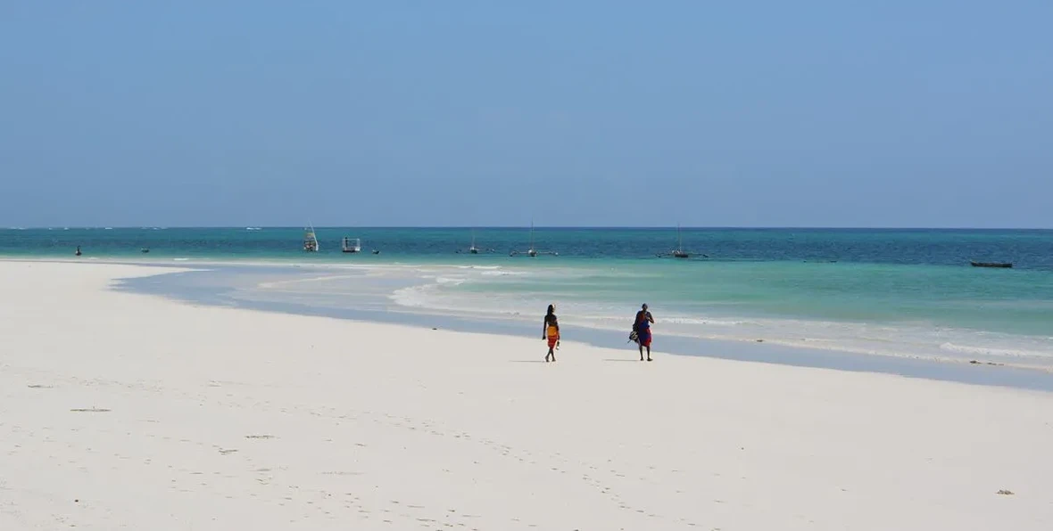 Nwptumepalmboutique - 195.7.4.97