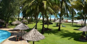 Nwptumepalmboutique - 195.7.4.97