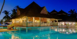 Nwptumepalmboutique - 195.7.4.97