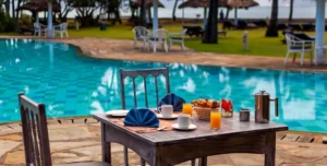 Nwptumepalmboutique - 195.7.4.97