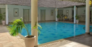 Nwptumepalmboutique - 195.7.4.97