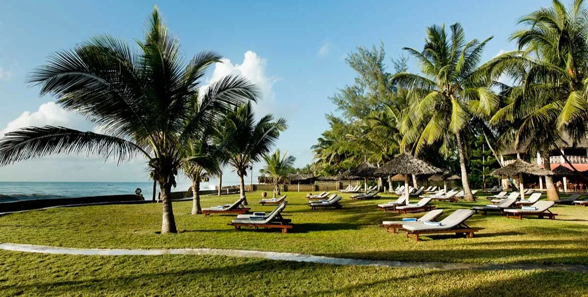 Nwptumepalmboutique - 195.7.4.97