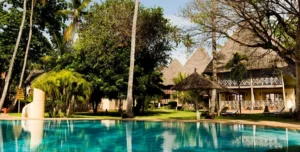 Nwptumepalmboutique - 195.7.4.97