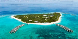 Raayabyatmosphere - 195.7.4.97