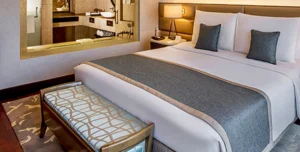 Theleela - 195.7.4.97