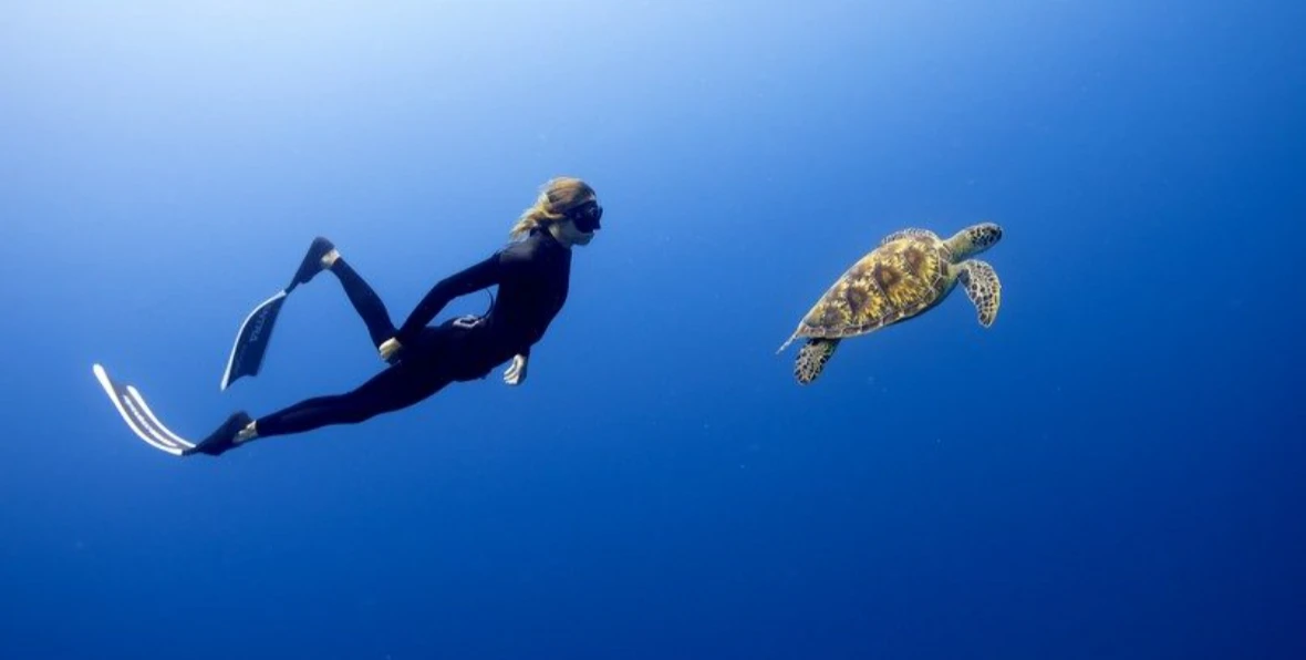 Diving Dusitd Feydhoo Maldives - 195.7.4.97