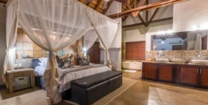 Elephan Plains - 195.7.4.97