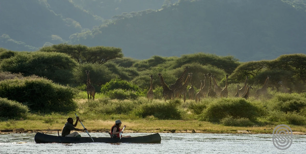Lake Manyara - 195.7.4.97