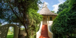 Lake Manyara - 195.7.4.97