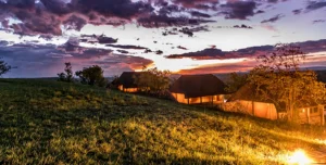 Mara River Post Tanzania - 195.7.4.97