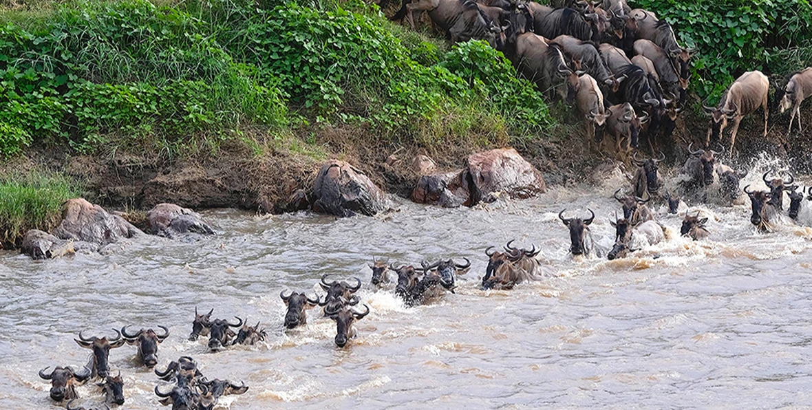 Mara River Post Tanzania - 195.7.4.97