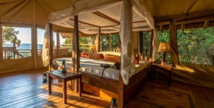 Mihingo Lodge - 195.7.4.97