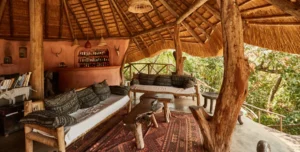 Mihingo Lodge - 195.7.4.97