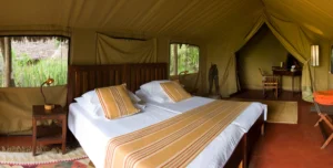 Olduvi Camp - 195.7.4.97