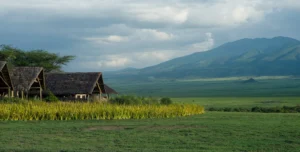 Olduvi Camp - 195.7.4.97