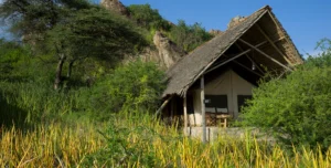 Olduvi Camp - 195.7.4.97