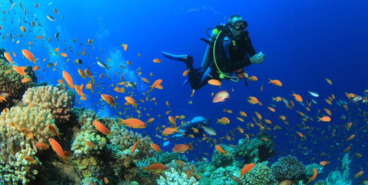 Servicios Actividades Nh Maldivas Kuda Kah Resort - 195.7.4.97