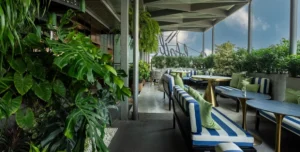 The Ann Hanoi - 195.7.4.97