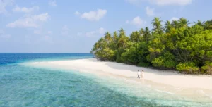 Westin Maldives - 195.7.4.97