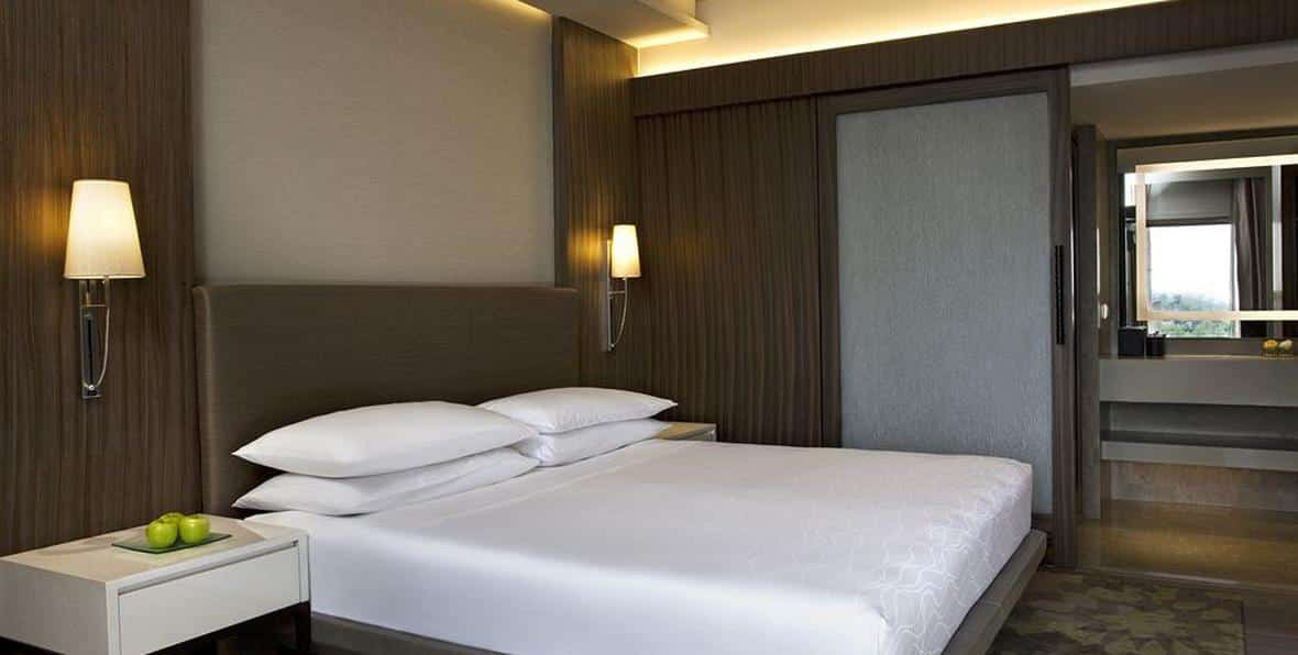 Hyatt Regency Delhi - 195.7.4.97