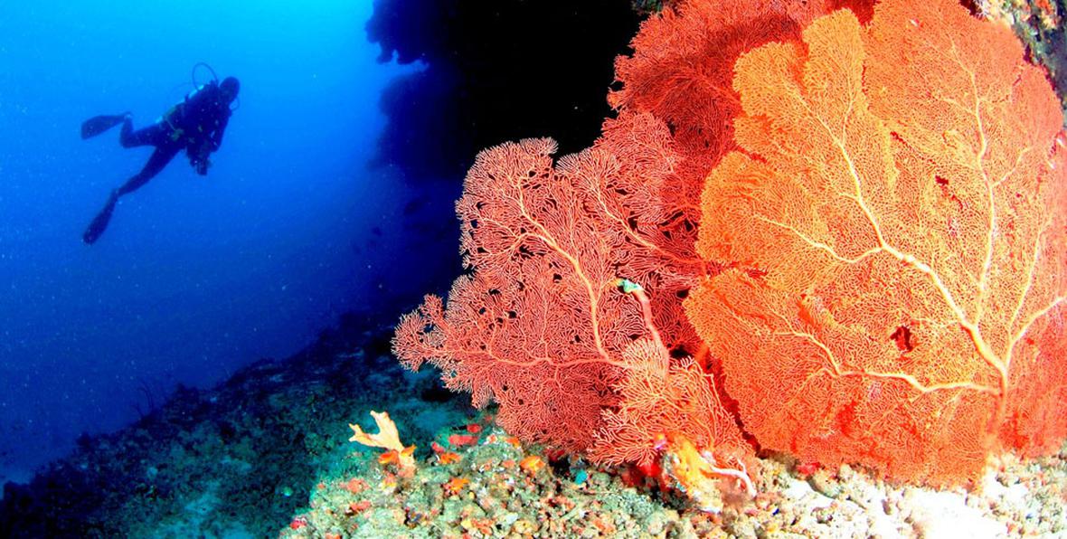 Anantara Veli Resort Spa - 195.7.4.97