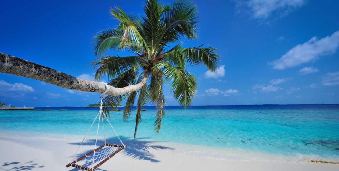 Bandos Island Resort - 195.7.4.97