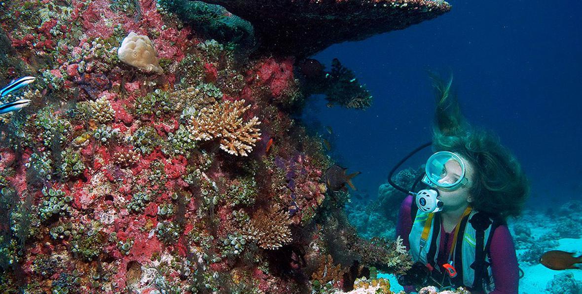 Centara Grand Island Resort Spa - 195.7.4.97