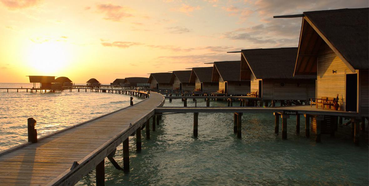 Cocoa Island - 195.7.4.97