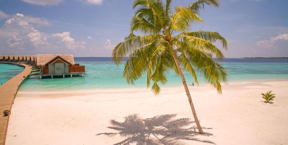 Furaveri Island Resort Spa - 195.7.4.97