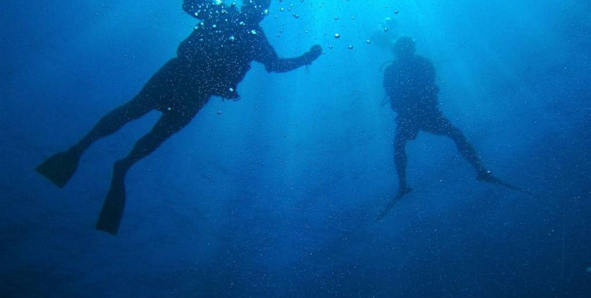 The Dive Club - 195.7.4.97