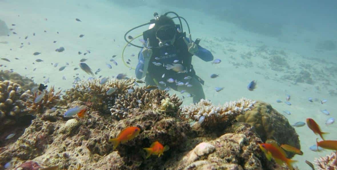 Dive Center - 195.7.4.97