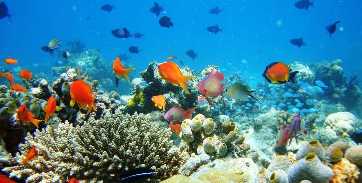 Actividades Acuaticas - 195.7.4.97