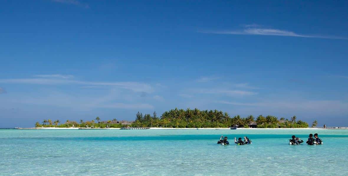 Padi Dive Center - 195.7.4.97