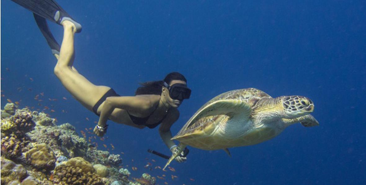 Deportes Acuaticos - 195.7.4.97