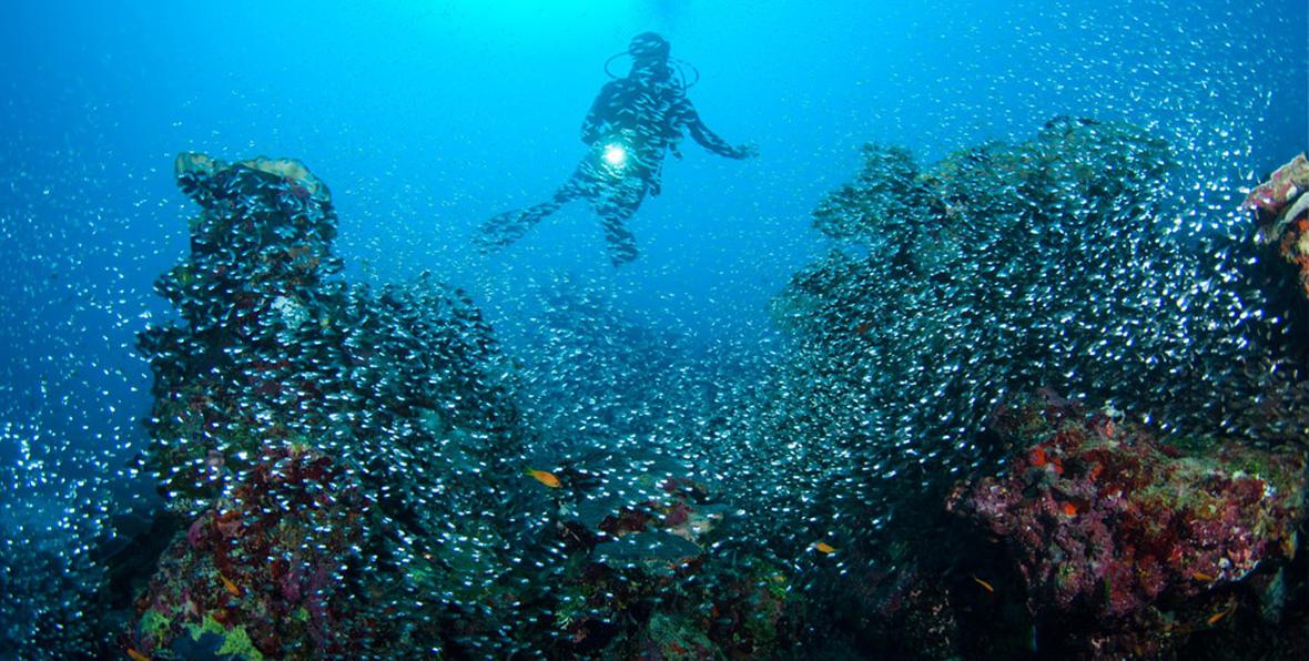 Park Hyatt Hadahaa - 195.7.4.97