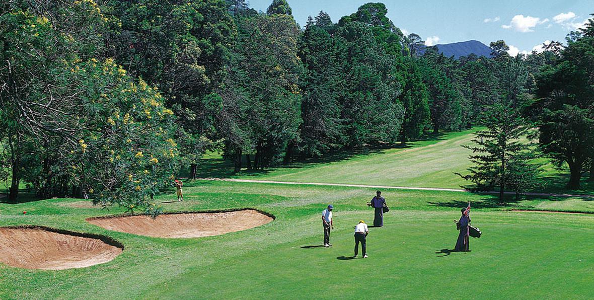 Heritance Tea Factory - 195.7.4.97