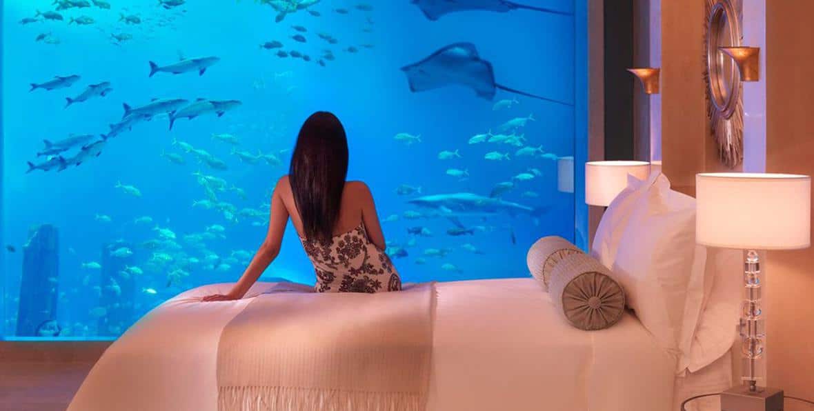 Atlantis The Palm - 195.7.4.97