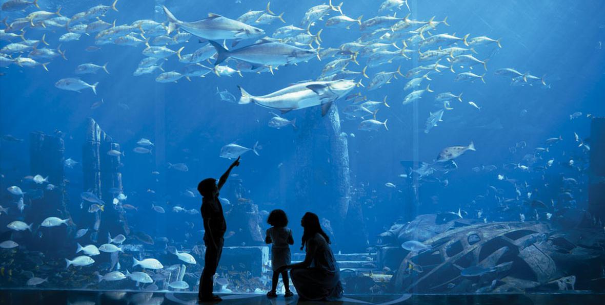 Atlantis The Palm - 195.7.4.97